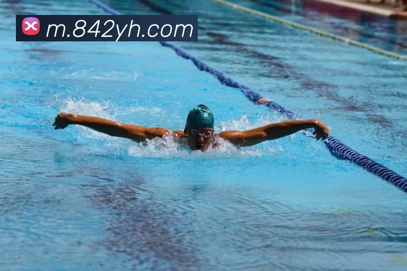 APP界面展示